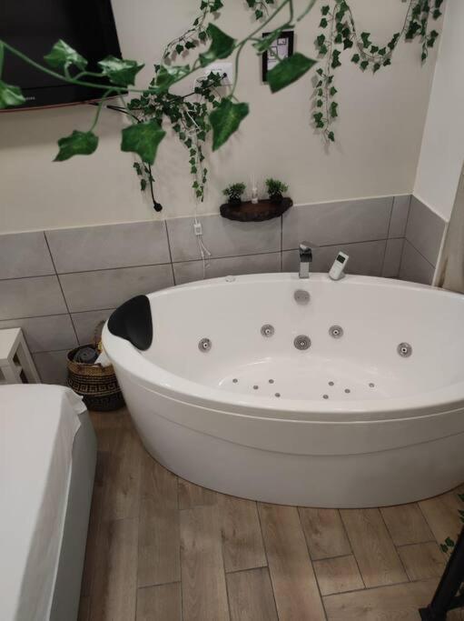 Tinyhouse All'orto Con Idromassaggio Apartment Naples